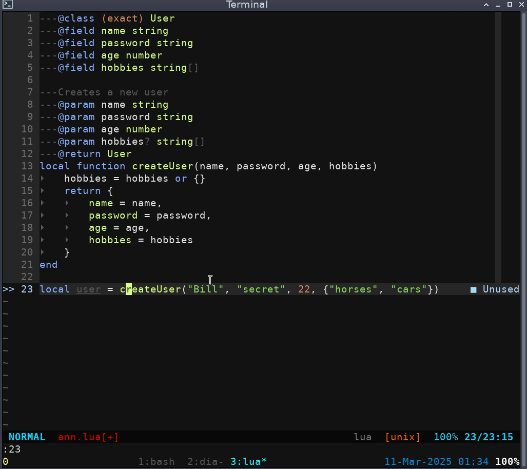 Demonstration of Lua Annotation in NeoVim